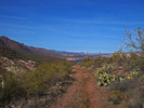 photo thumbnail #15