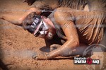 photo thumbnail #3