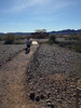 photo thumbnail #5