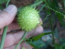 photo thumbnail #3
