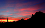 photo thumbnail #13