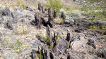 photo thumbnail #8