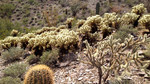 photo thumbnail #6