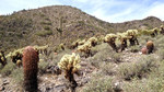photo thumbnail #7