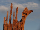 photo thumbnail #4