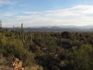 photo thumbnail #8