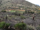 photo thumbnail #14