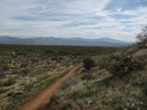 photo thumbnail #15