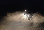 photo thumbnail #1