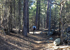 photo thumbnail #7