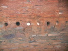 photo thumbnail #11