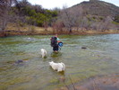 photo thumbnail #15