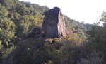 photo thumbnail #6