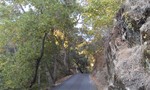 photo thumbnail #9