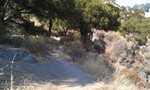 photo thumbnail #12