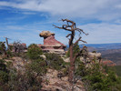 photo thumbnail #13