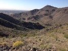 photo thumbnail #8