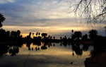 photo thumbnail #13