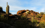 photo thumbnail #7