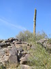 photo thumbnail #10