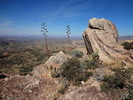 photo thumbnail #4