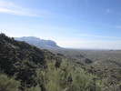 photo thumbnail #10