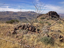 photo thumbnail #5