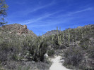 photo thumbnail #1
