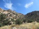 photo thumbnail #3