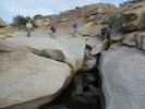 photo thumbnail #12