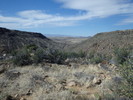 photo thumbnail #7