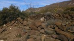 photo thumbnail #15