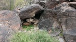 photo thumbnail #5