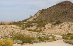 photo thumbnail #1