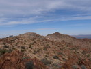 photo thumbnail #6