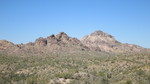 photo thumbnail #3