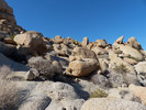photo thumbnail #15