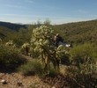 photo thumbnail #4