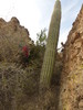 photo thumbnail #11