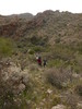 photo thumbnail #13