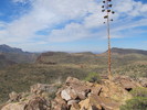 photo thumbnail #6