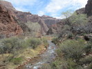 photo thumbnail #13