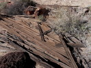 photo thumbnail #7