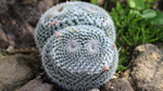 photo thumbnail #3