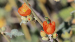 photo thumbnail #14