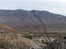 photo thumbnail #10