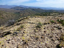 photo thumbnail #9