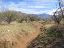 photo thumbnail #2