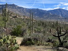 photo thumbnail #3