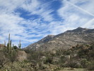 photo thumbnail #5